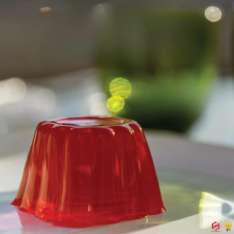 Cetakan Kue Puding dengan Tutu - Baby Food Jelly ulasan dan harga