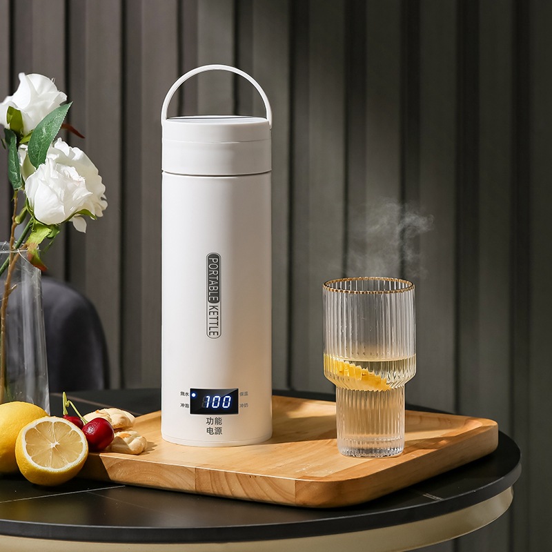Ketel Listrik Portabel Pemanas - Baby Food Thermos ulasan dan harga