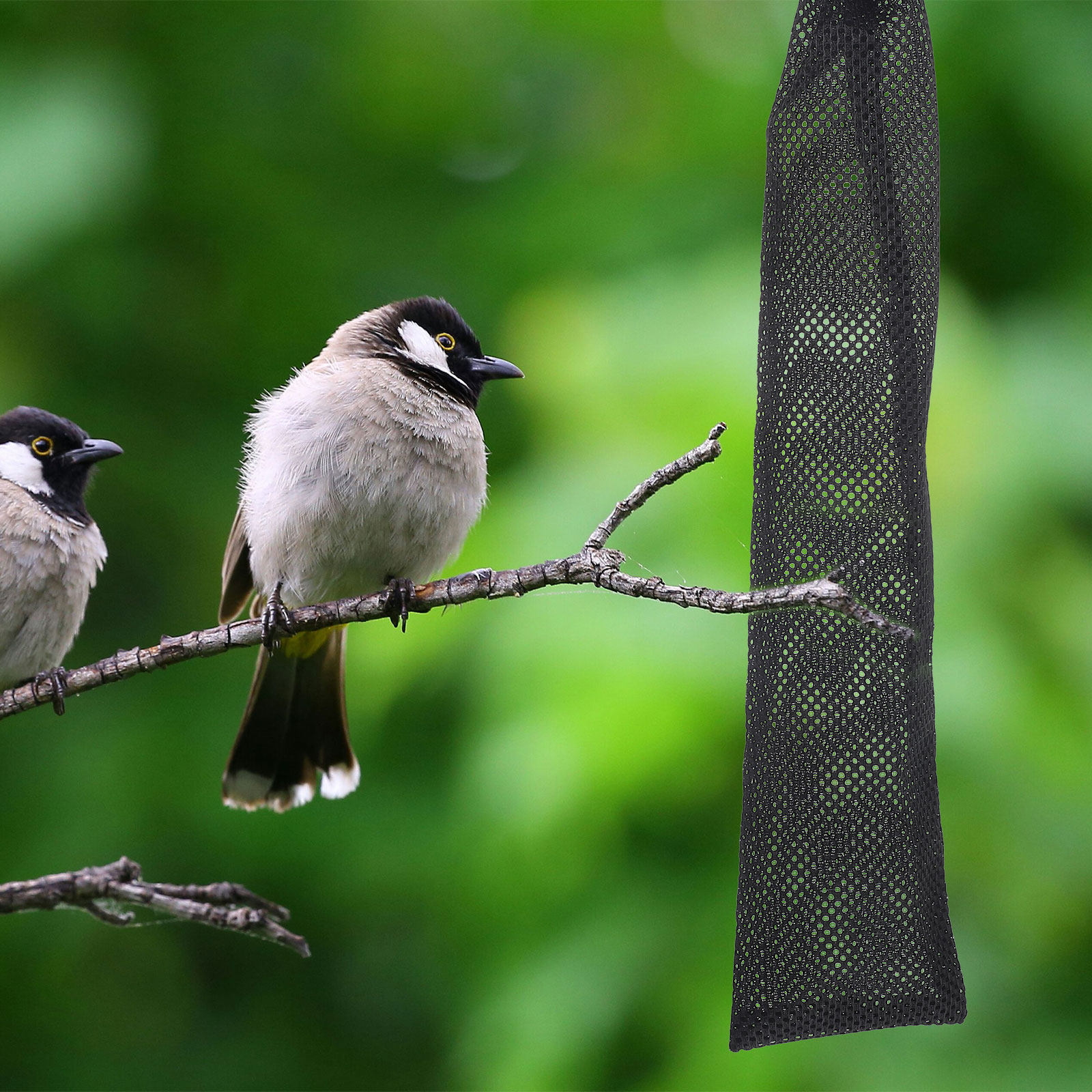 3Pcs Kantong Pakan Burung dari - Mesh Feeder Bag ulasan dan harga